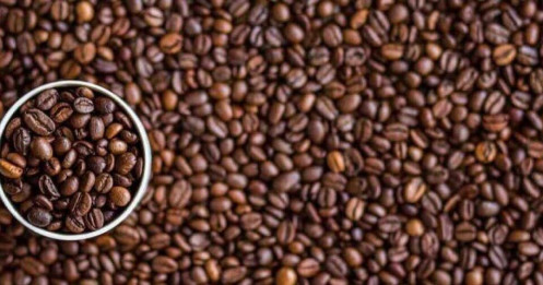 Thị trường cà phê tuần đến ngày 28/7: Áp lực giảm giá do tiến độ thu hoạch nhanh ở brazil – triển vọng nguồn cung robusta được cải thiện