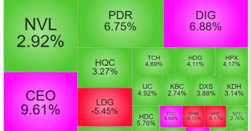 Cổ đất đồng loạt tăng tốc sau khi Thanh tra Chính phủ vào cuộc