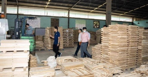 Mỹ chi 4,6 tỷ USD nhập gỗ Việt trong nửa năm