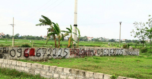 Đất nền giảm sức nóng