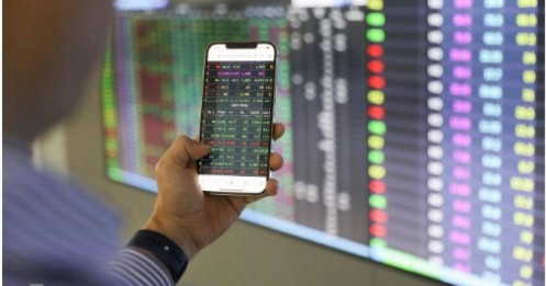 'Chứng khoán cần thu hút nhà đầu tư tổ chức'