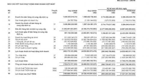 Novaland báo lỗ sau thuế 666 tỷ đồng trong 6 tháng đầu năm