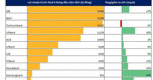 Sáng 29/7, đã có 14 ngân hàng công bố lợi nhuận 6 tháng