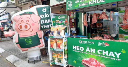 BAF - Thuận thời tiến bước