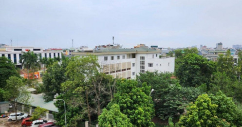 Chưa có cơ sở giao khu "đất vàng" bỏ hoang cho Tổng Công ty CP Hợp Lực