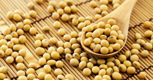 Đậu Tương Chưa Thoát Khỏi Vòng Xoáy Giảm: Cung Dồi Dào – Cầu Chững Lại – Dòng Tiền Chưa Ủng Hộ