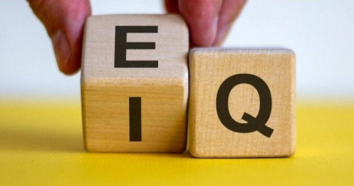 EQ hay IQ giúp chúng ta thành công?