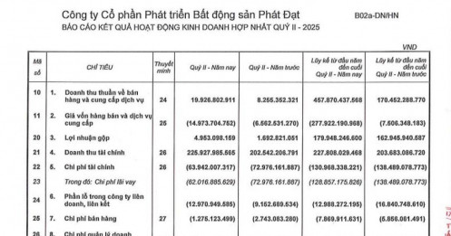 Doanh thu tăng 141% so với cùng kỳ, Phát Đạt báo lãi quý 2/2025 tăng 30%, đạt 65 tỷ đồng