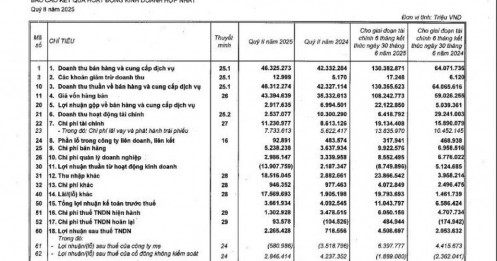 Vingroup báo doanh thu 130.000 tỷ đồng, lãi sau thuế 4.509 tỷ đồng trong nửa đầu năm 2025
