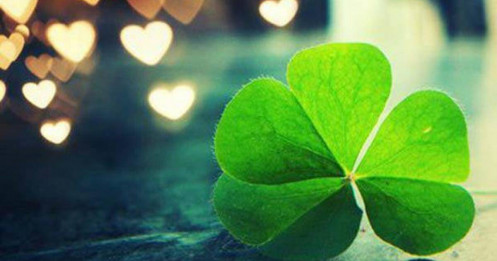 Đôi lúc trong cuộc sống, cố gắng thôi là chưa đủ – còn cần cả may mắn