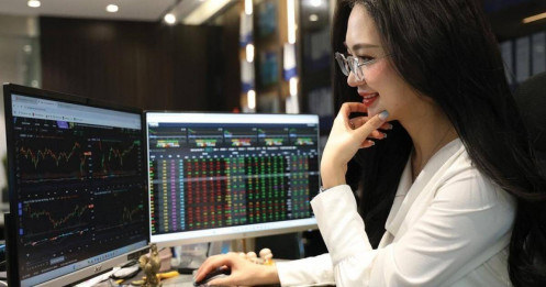 Cuộc chơi của tự doanh: Cá mập chọn đường, cá nhỏ bơi ngược sóng