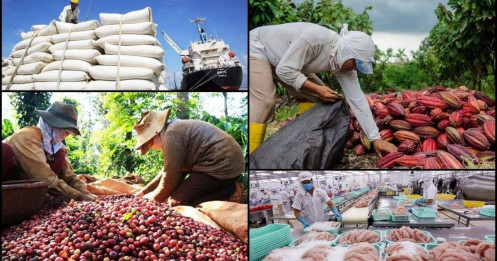 VAT siết chặt, “ông lớn” xuất khẩu nông sản lao đao