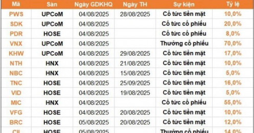 22 doanh nghiệp trả cổ tức bằng tiền mặt, mức cao nhất là 20%