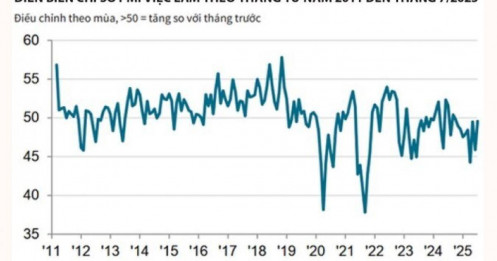 Cổ phiếu midcap và penny hút dòng tiền