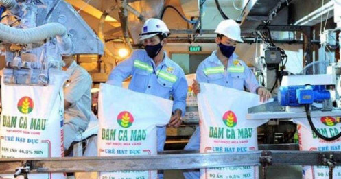 DCM – Liệu có đang được thị trường tái định giá?