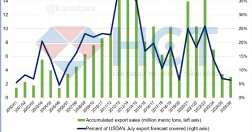 Trung Quốc đôi với đậu tương và năng suất ngô của Mỹ – Giai đoạn định hình xu hướng giá hàng hóa nông sản