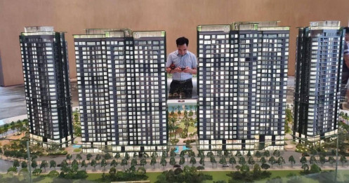 “Khẩu vị” đầu tư trong chân sóng mới