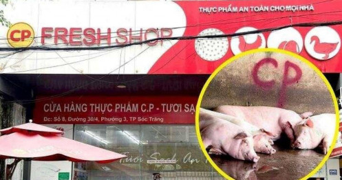 Người tố C.P bán thịt heo bệnh bị triệu tập