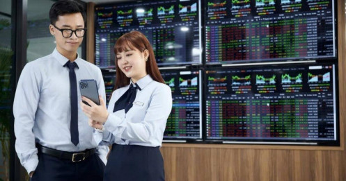 Trống thông tin, đầy rủi ro – nhưng cũng đầy cơ hội