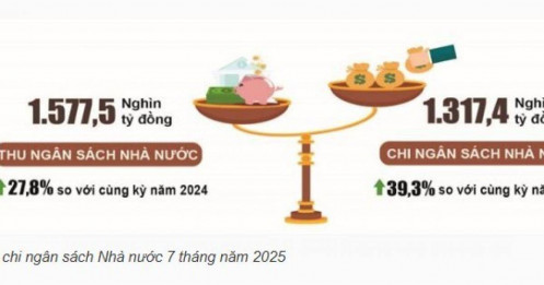 Tổng thu ngân sách Nhà nước 7 tháng đầu năm đạt 80.2% dự toán năm