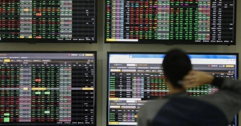 Startup công nghệ ở đâu khi chứng khoán đang mùa "hốt bạc"?