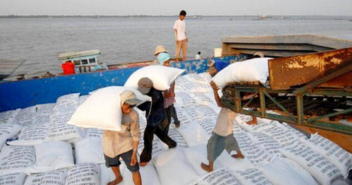 Vì sao đề nghị bỏ xuất khẩu gạo khỏi danh mục kinh doanh có điều kiện?