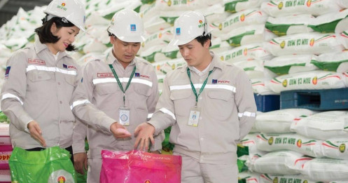 Diễn biến cổ phiếu và triển vọng đầu tư ngành hóa chất, phân bón