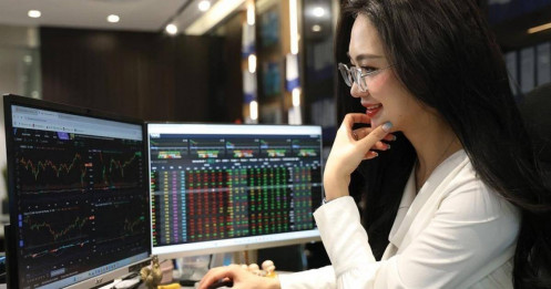 Giữa "trăm hoa đua nở", đâu là cổ phiếu đáng để “xuống tiền”?