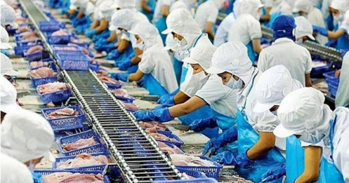 "Con sóng" cổ phiếu thủy sản đến từ đâu?