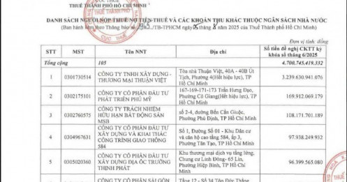Một doanh nghiệp tại TP HCM nợ thuế đến hơn 3.200 tỉ đồng
