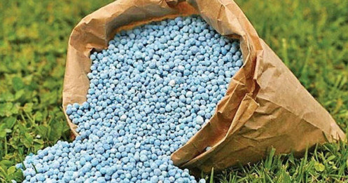 Từ Nga-Ukraine Đến Trung Quốc: Câu Chuyện Khiến Giá Phân Bón Tăng Chóng Vánh