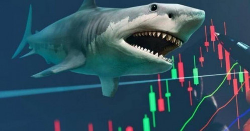 Loạt doanh nghiệp có tiềm năng tăng trưởng, kỳ vọng "hút" tiền