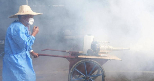 Quảng Đông (Trung Quốc) ghi nhận thêm 1.387 ca Chikungunya trong tuần qua