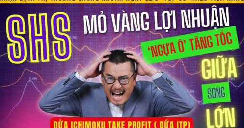 Chứng Khoán hôm nay: SHS Có Thực Sự Là Mỏ Vàng Lợi Nhuận?