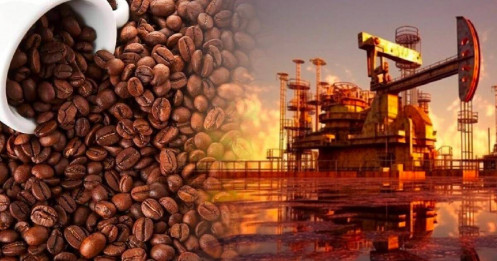 Căng thẳng thuế quan đẩy giá cà phê bứt phá, năng lượng giảm sâu trước kỳ vọng hạ nhiệt Mỹ – Nga