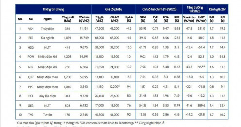 POW, NT2, TV2… được dự báo tích cực trong 6 tháng cuối năm 2025