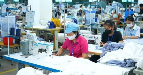 Ngành Dệt May Việt Nam: Lợi Thế Cạnh Tranh Vững Mạnh và Triển Vọng Tăng Trưởng Bền Vững