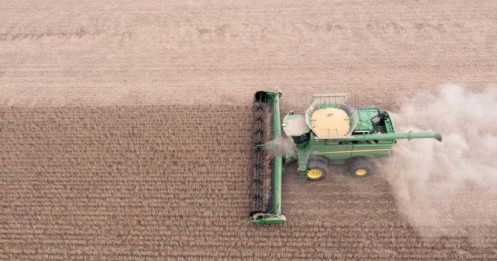 Hoa Kỳ mất thị phần đậu nành từ Trung Quốc khi Brazil lấp đầy thời kỳ cung ứng quan trọng