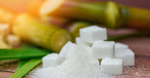 Thị trường đường thế giới: Nguồn cung Ấn Độ và Brazil trở thành tâm điểm?