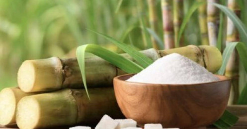 Thị trường đường toàn cầu 2025 - 2034: Xu hướng tiêu thụ, sản xuất, thương mại và tác động của năng lượng sinh học