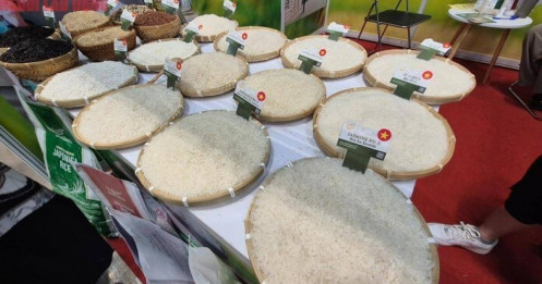 Giá gạo Việt Nam vẫn đứng vững, điều gì đang xảy ra?