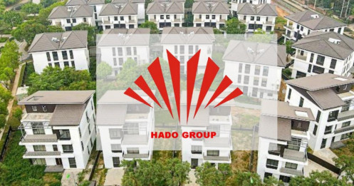 HDG - Nhà đầu tư có nhìn thấy gì sau bức tranh thua lỗ?