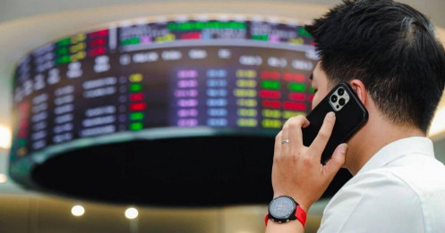 2025 - Full cash là thua