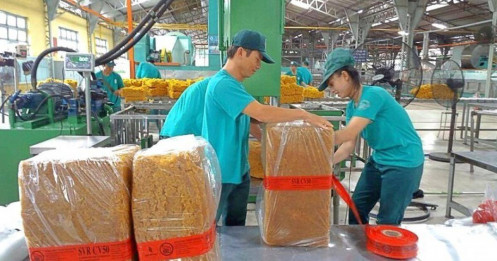 Có 2.000 tỷ đồng gửi ngân hàng, Cao su Đồng Phú (DPR) chốt chia cổ tức tiền mặt 20%