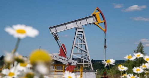 Giá dầu hạ nhẹ sau cuộc gặp Trump – Putin, lo ngại nguồn cung từ Nga dịu bớt