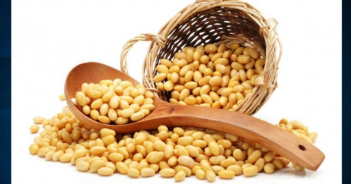 Nhận định giá sản phẩm đậu tương – ZSEX25 (18.08.2025)