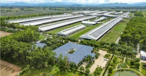 Việt Nam có thương hiệu sữa được đánh giá tiềm năng nhất toàn cầu