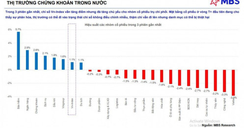 MBS cảnh báo trạng thái 'chỉ số một đằng, danh mục một nẻo'