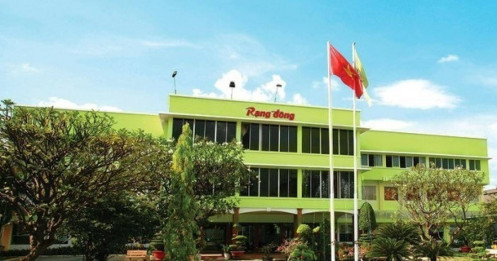 Rạng Đông – Khi tượng đài ngành nhựa "rơi tự do"