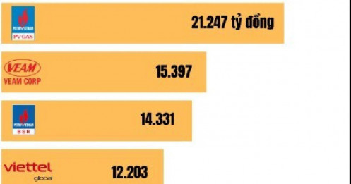 10 DN nhiều tiền ròng nhất nửa đầu năm 2025